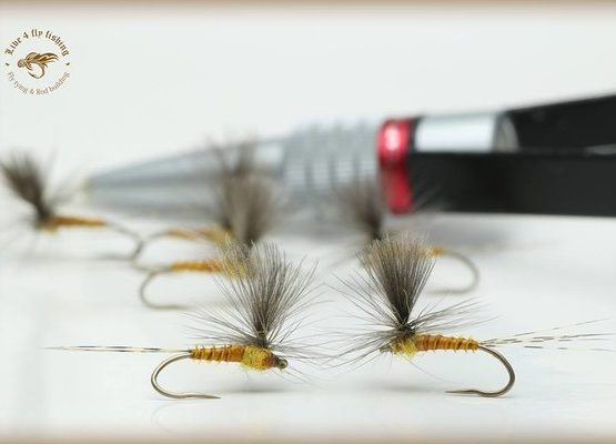 10Pcs Competition Barbless Fly Fishing Hook Nymph Dry Wet Flies